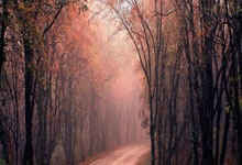 开云体育入口-内马尔点燃！圣殿狂欢夜诠释足球信仰