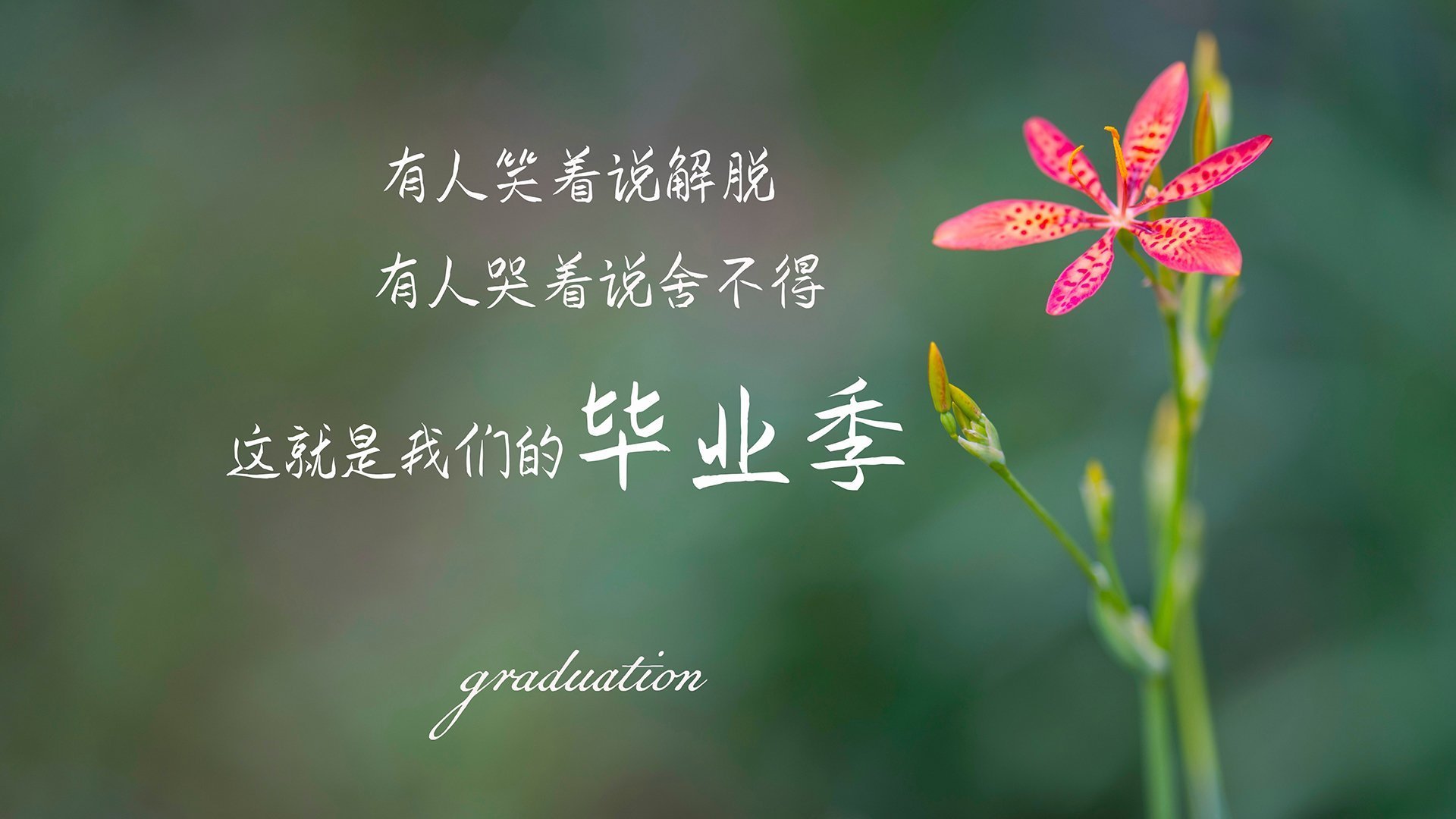 双星战歌,拉什福德轻灵舞步与加纳蛮牛冲撞下的同一曲胜利狂想