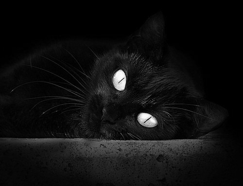 唯一对决，保罗末节封神！老鹰险胜上海锁定传奇