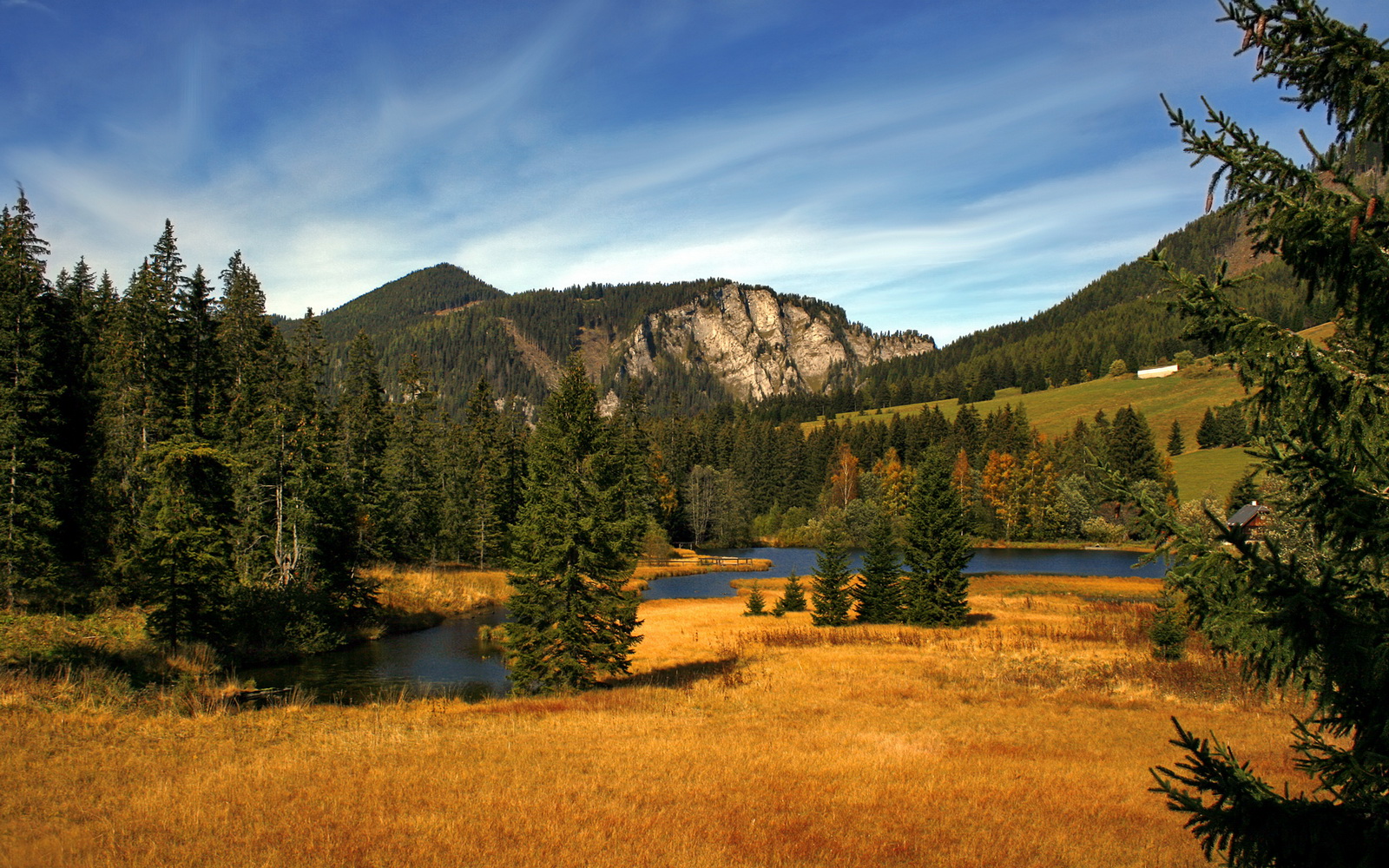 开云体育APP下载-楚阿梅尼教科书级表现闪耀欧冠，比利亚雷亚尔终结葡萄牙本菲卡晋级之路