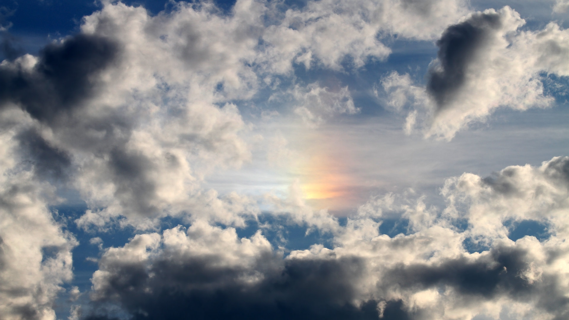 开云体育APP下载-武切维奇狂砍35+22灰熊下起三分雨，俄城沉默雷霆提前缴械